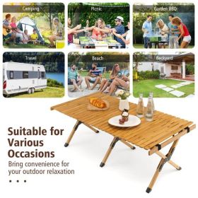 Portable Picnic Table with Carry Bag for Camping and BBQ